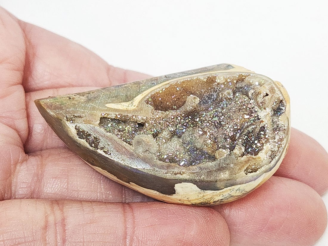 インド産 オーラクリスタルシェル/Aura druzy shell fossil