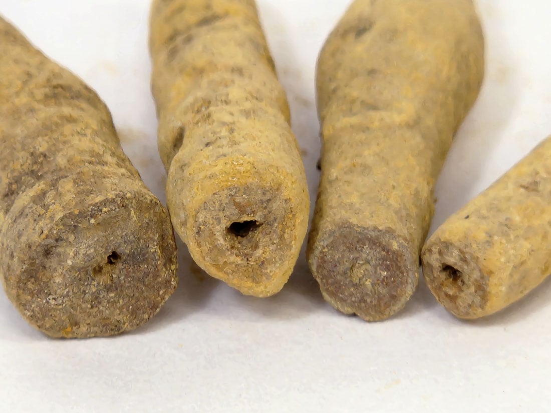 愛知県高師原産 高師小僧 (褐鉄鉱)