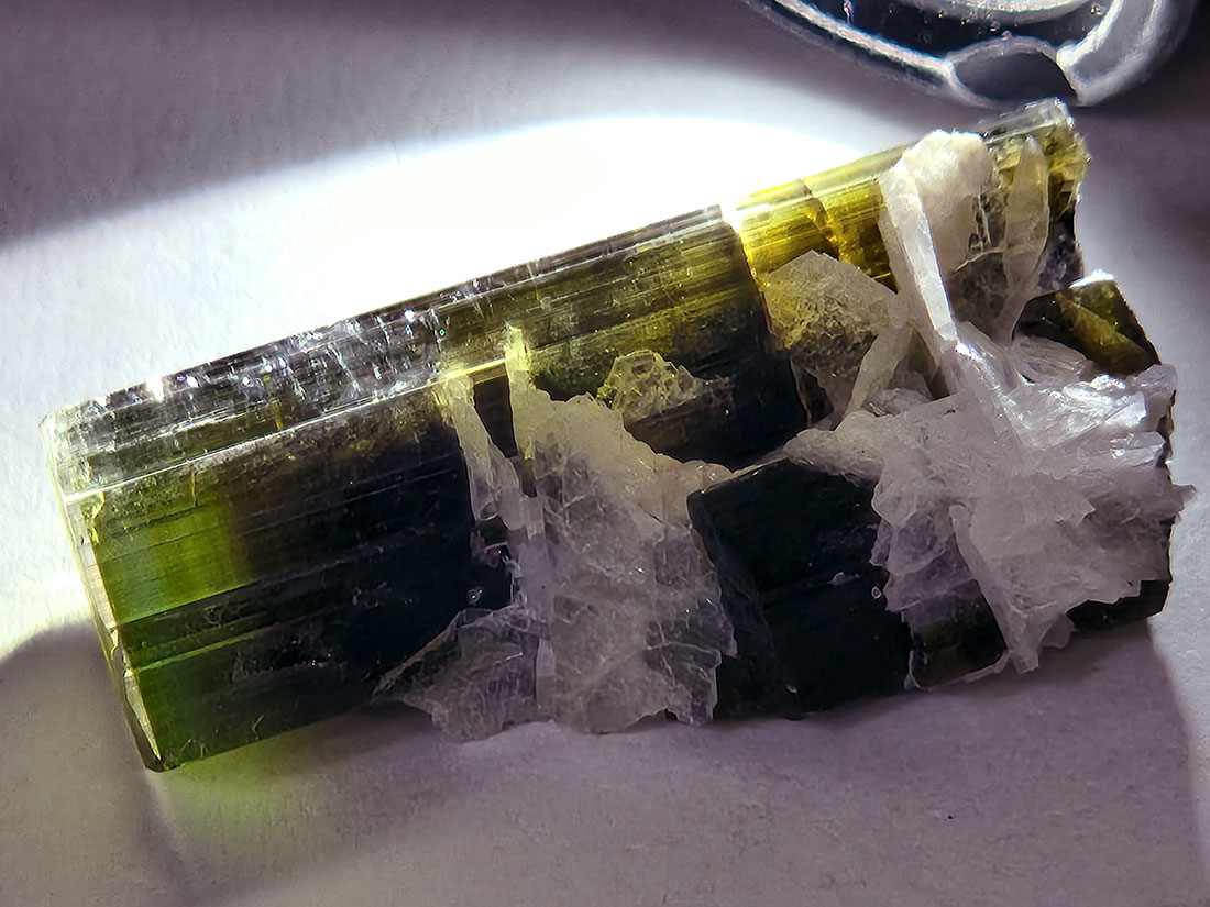 アフガニスタン産バイカラートルマリン/Bicolor Tourmaline (リチア電気石)