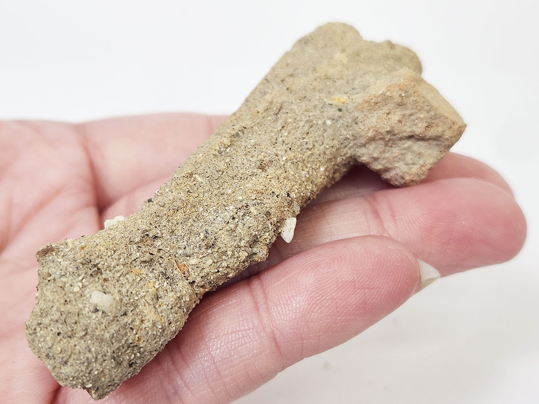 京都府八幡産 高師小僧 (褐鉄鉱)