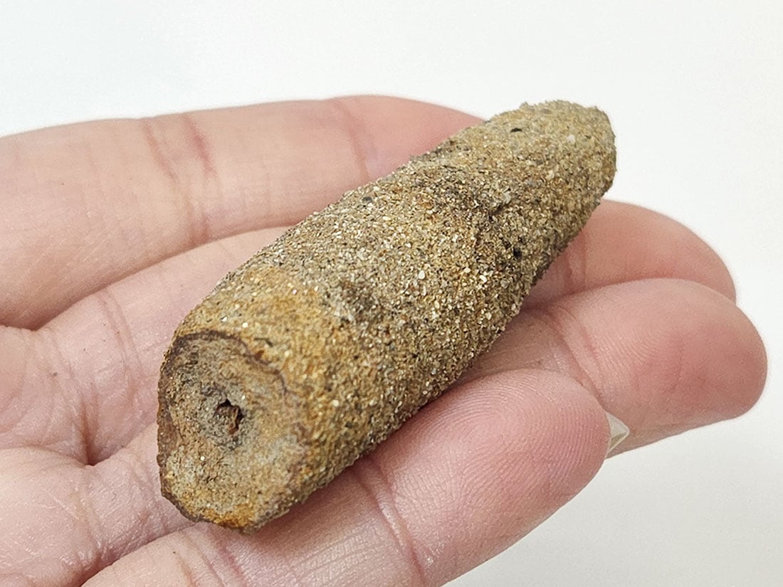 京都府八幡産 高師小僧 (褐鉄鉱)