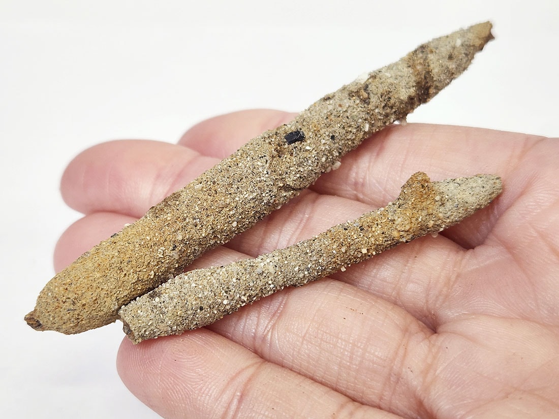 京都府八幡産 高師小僧 (褐鉄鉱)