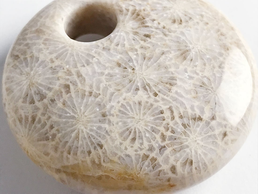 フォッシルコーラル（サンゴ化石） ルース