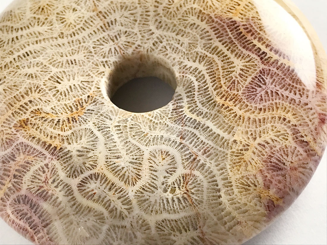 フォッシルコーラル（サンゴ化石） ルース