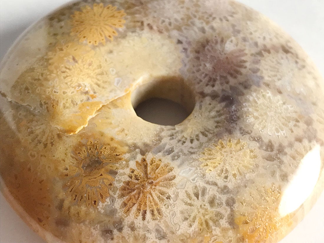 フォッシルコーラル（サンゴ化石） ルース