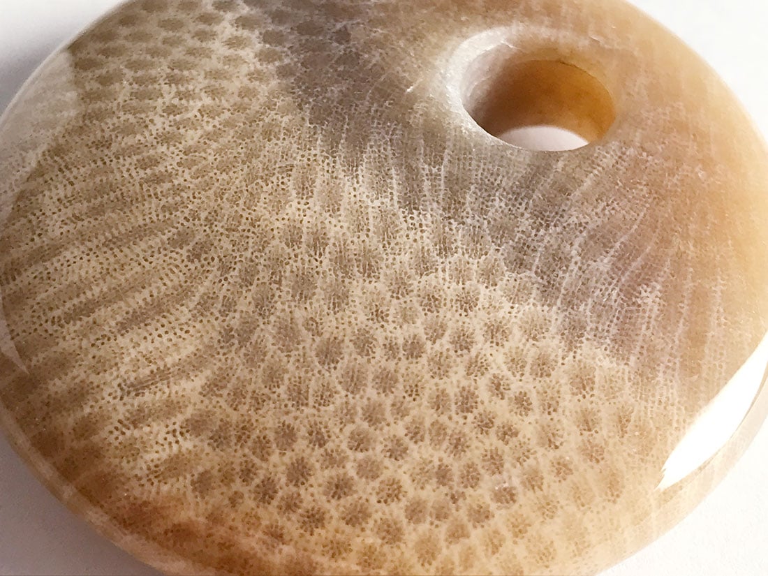 フォッシルコーラル（サンゴ化石） ルース