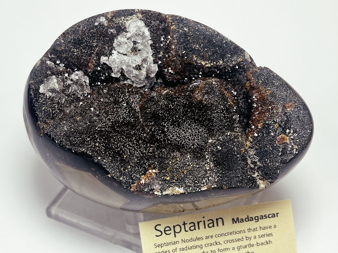 マダガスカル産セプタリアン ポリッシュ/Septarian