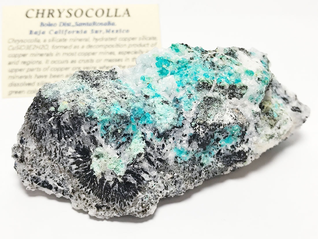 メキシコ産 クリソコラ/Chrysocolla (珪孔雀石)