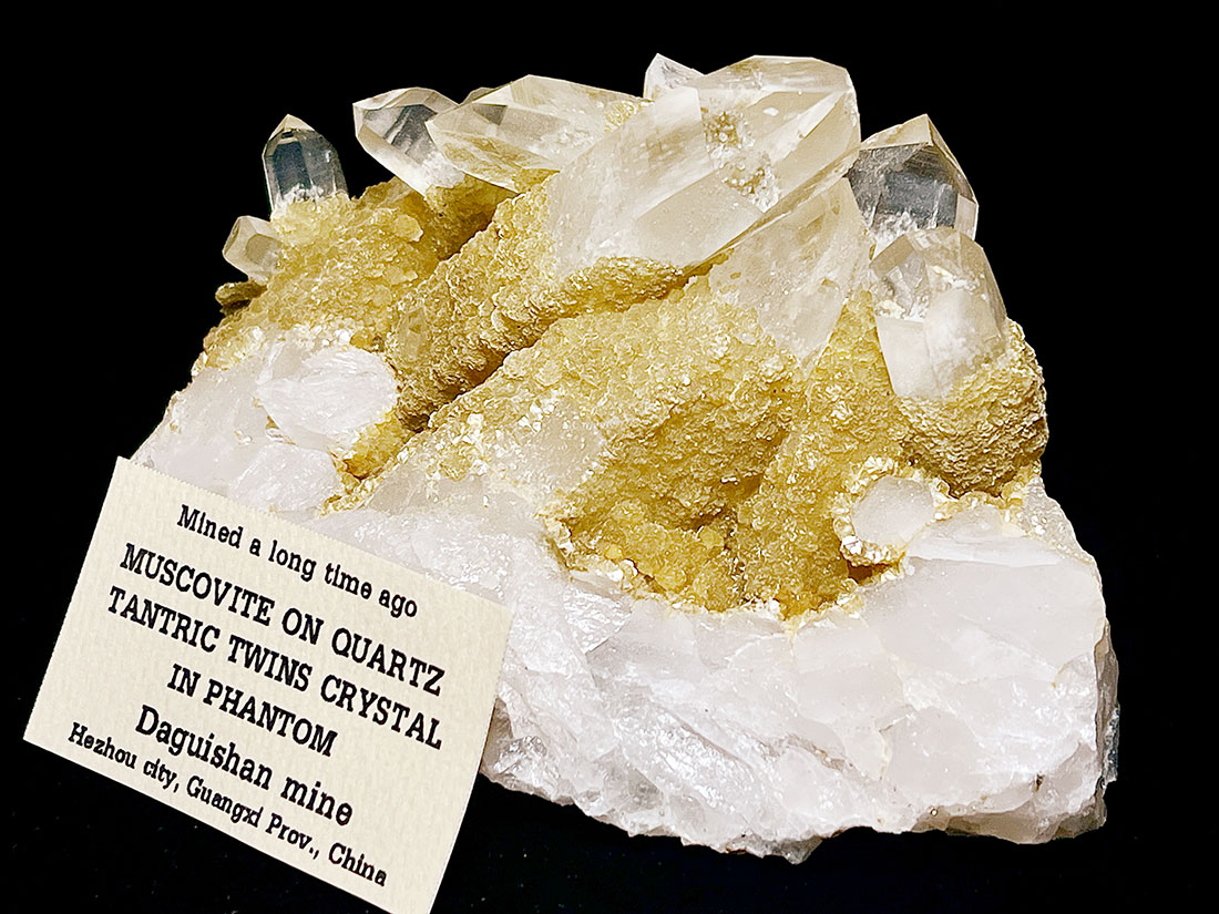 モスコバイトオンクォーツ/Muscovite on Quartz Tantric Twins Crystal in Phantom