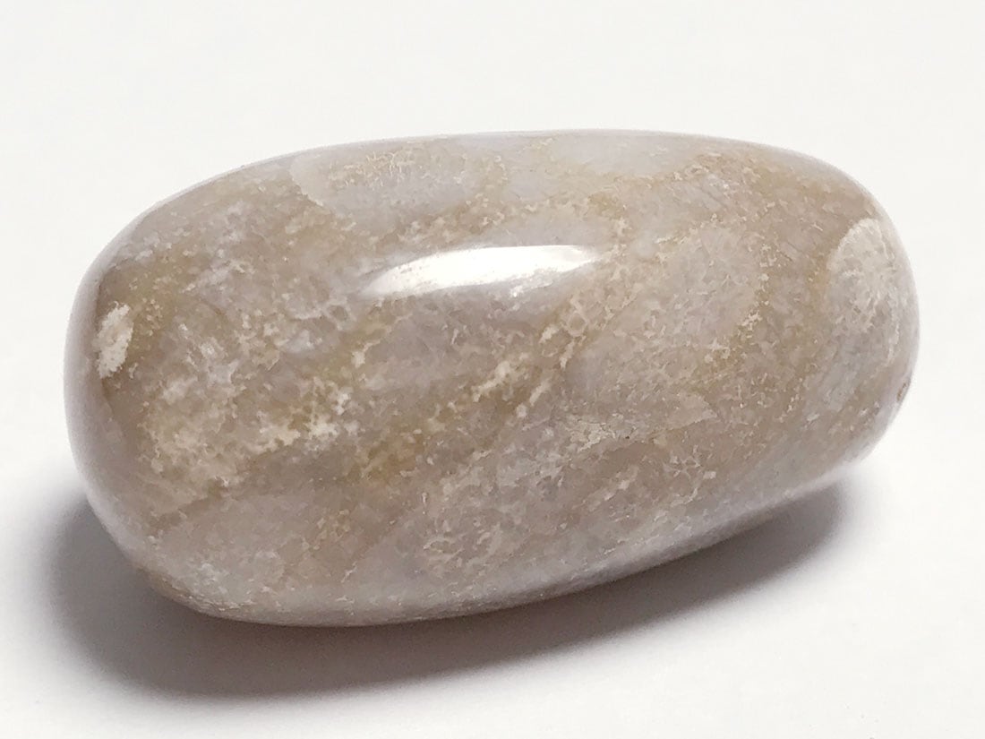 フォッシルコーラル (サンゴ化石) タンブル