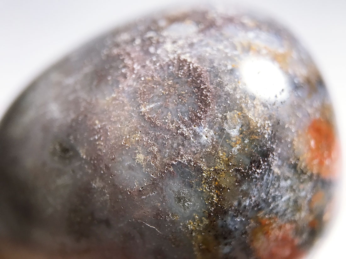 フォッシルコーラル (サンゴ化石) タンブル