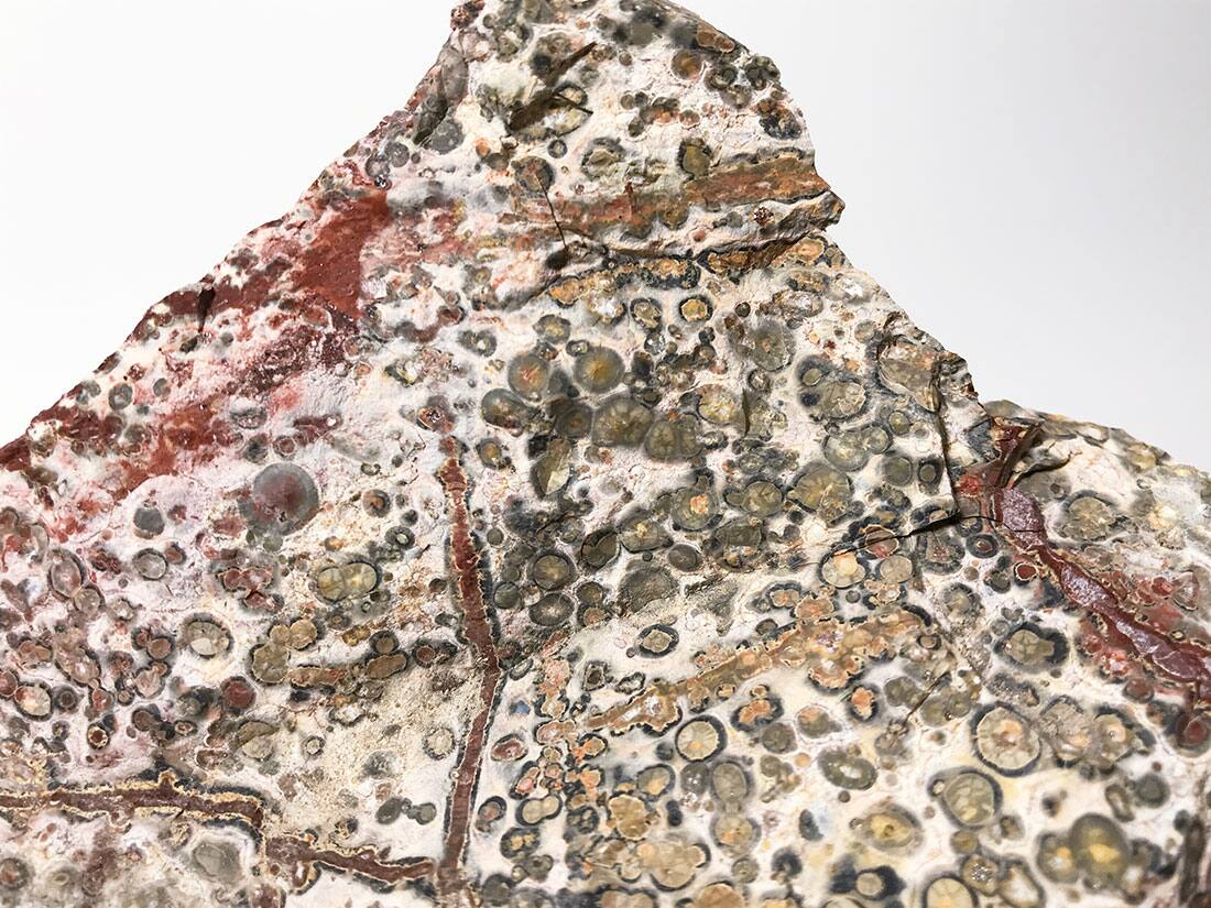 大型 レオパードジャスパー 豹柄 水晶 瑪瑙 原石 鑑賞石 天然石 水石 鉱物 大型 レオパードジャスパー 豹柄 水晶 瑪瑙 原石 鑑賞石 天然石 水石 鉱物