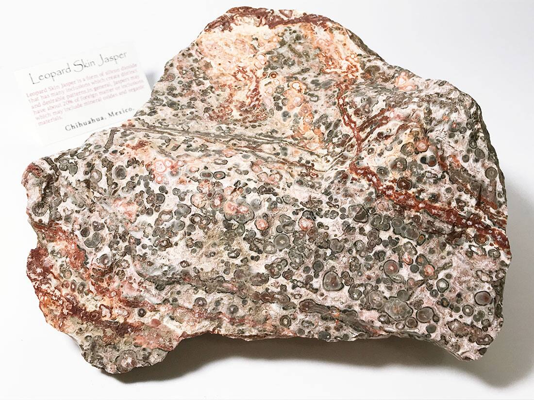 メキシコ産 レオパードスキンジャスパー