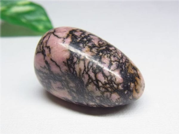 ロードナイト タンブル