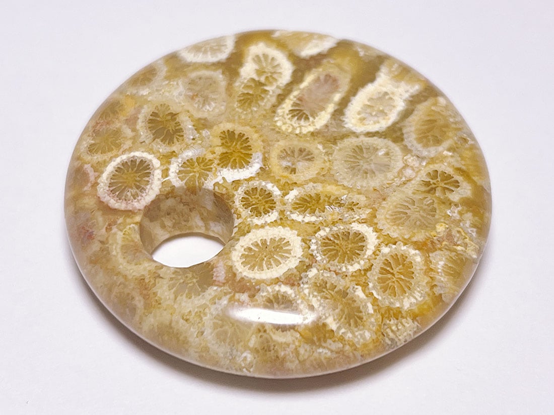 フォッシルコーラル（サンゴ化石） ルース