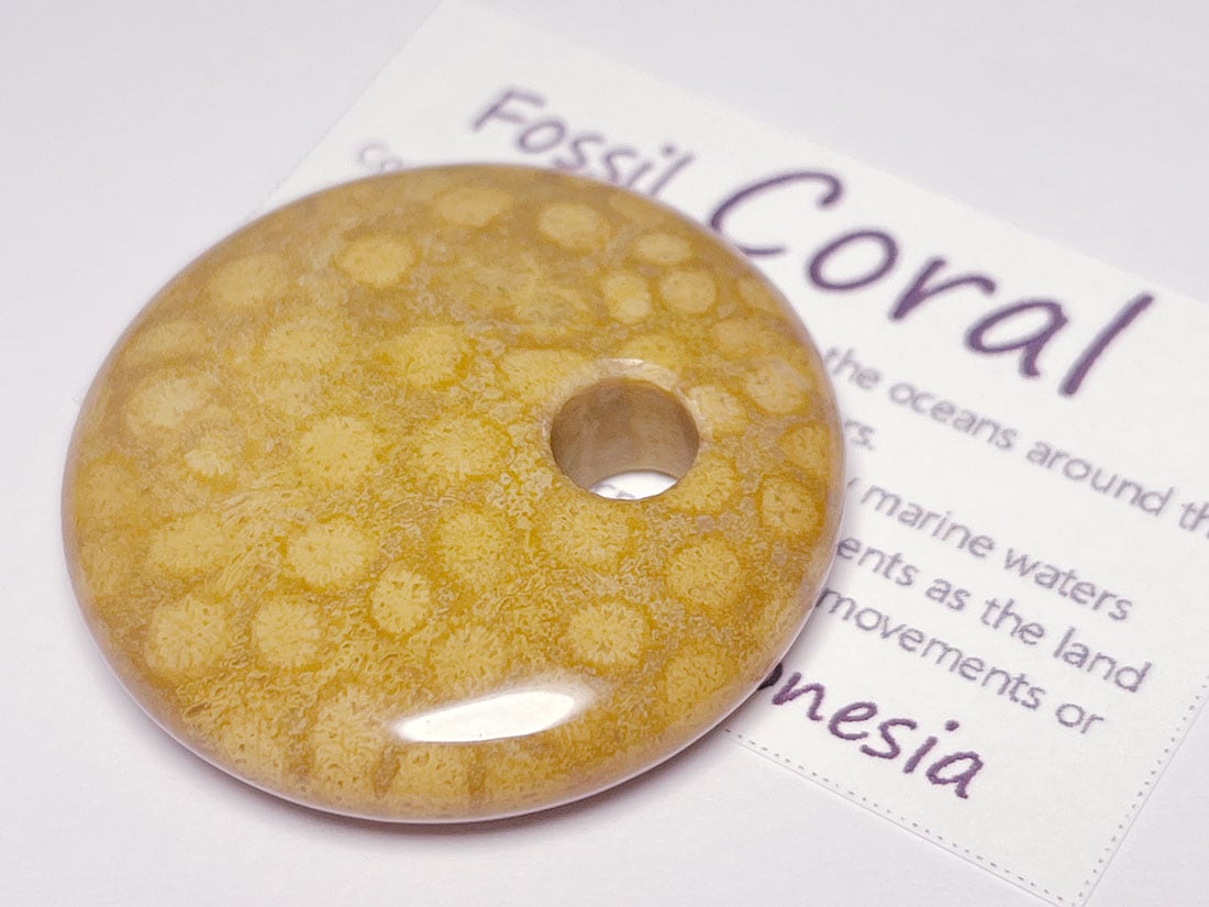 フォッシルコーラル（サンゴ化石） ルース