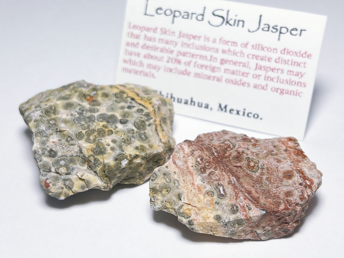 メキシコ産レオパードスキンジャスパー2個セット