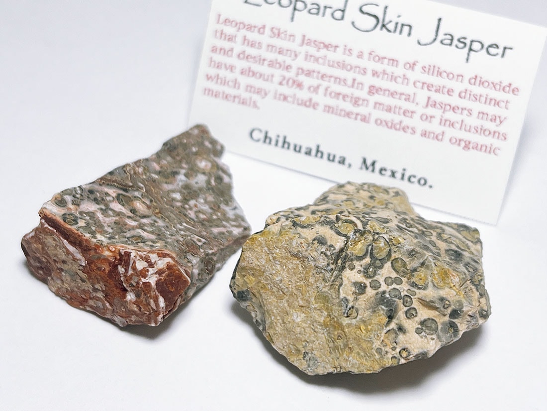 メキシコ産レオパードスキンジャスパー2個セット