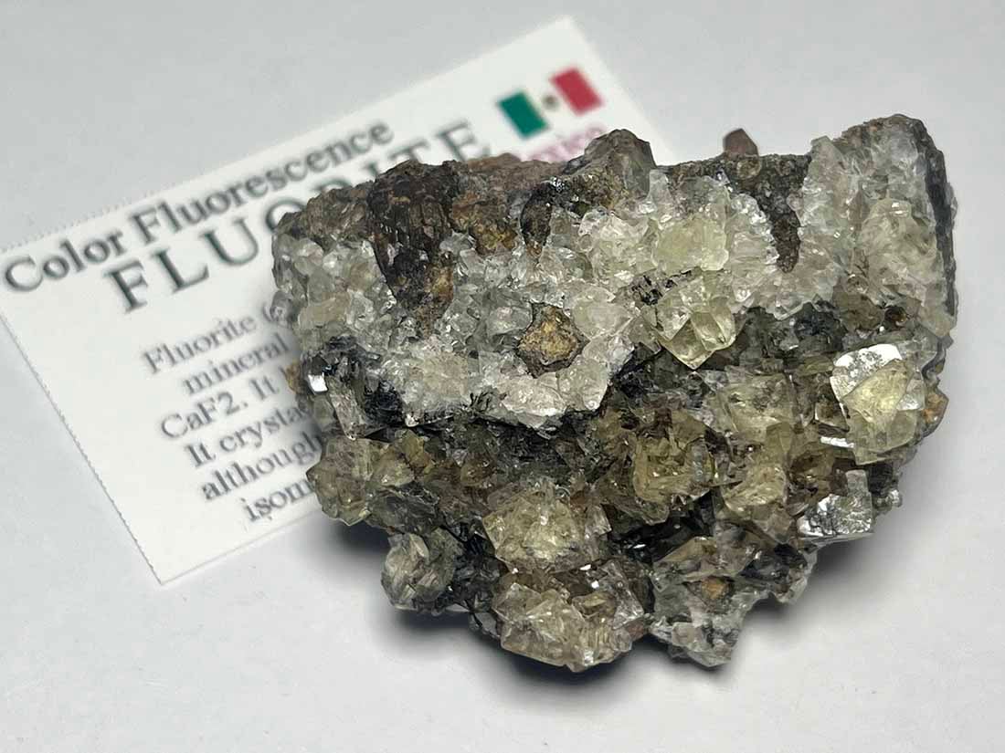 メキシコ産フローライト/セレナイト