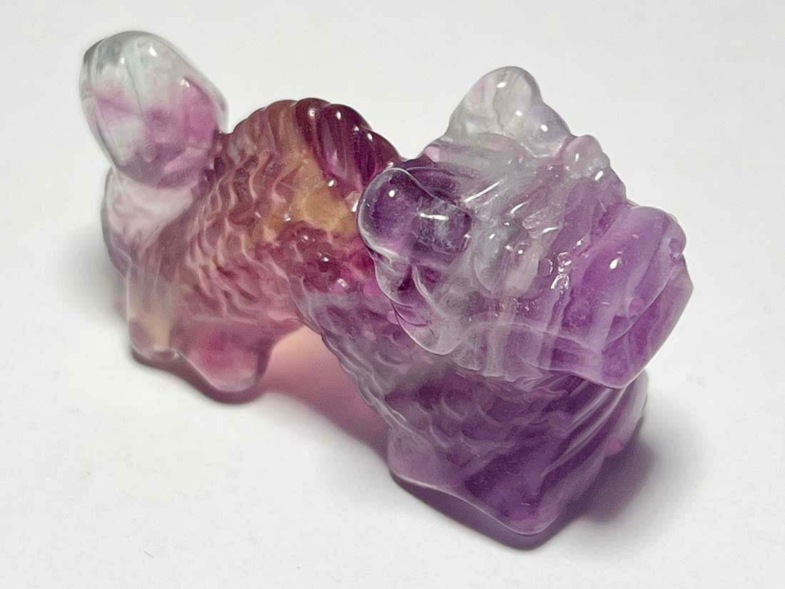 龍・龍亀・ドラゴン