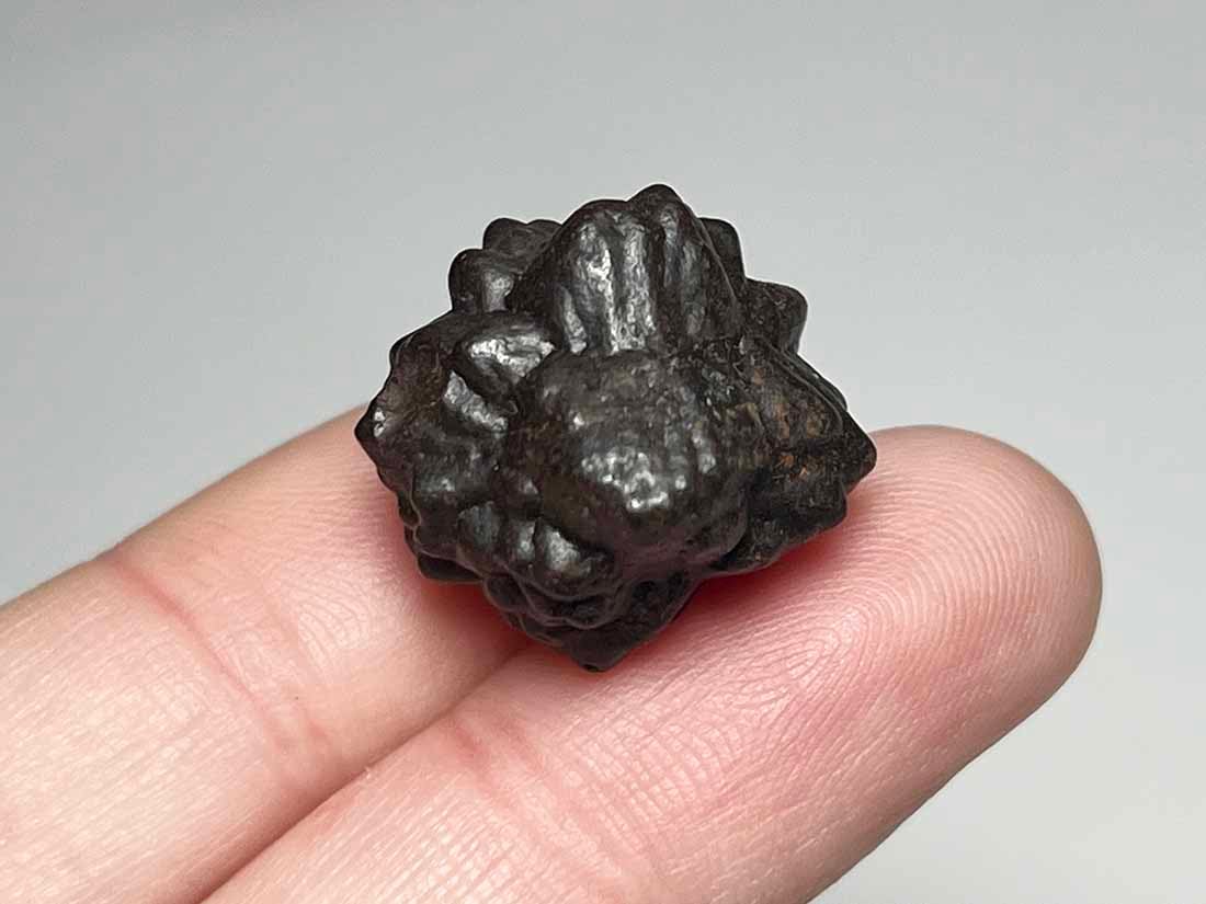 エジプトの星 ゼットストーン (プロフェシーストーン) / Prophecy Stone 