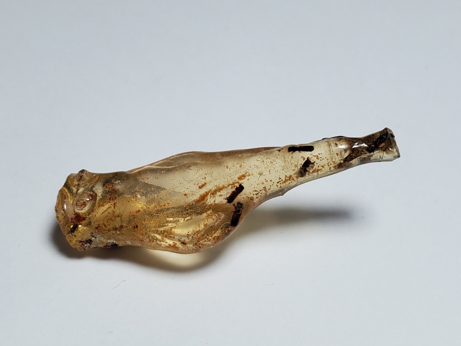 マダガスカル産 虫入りコパル / copal (Young Amber)