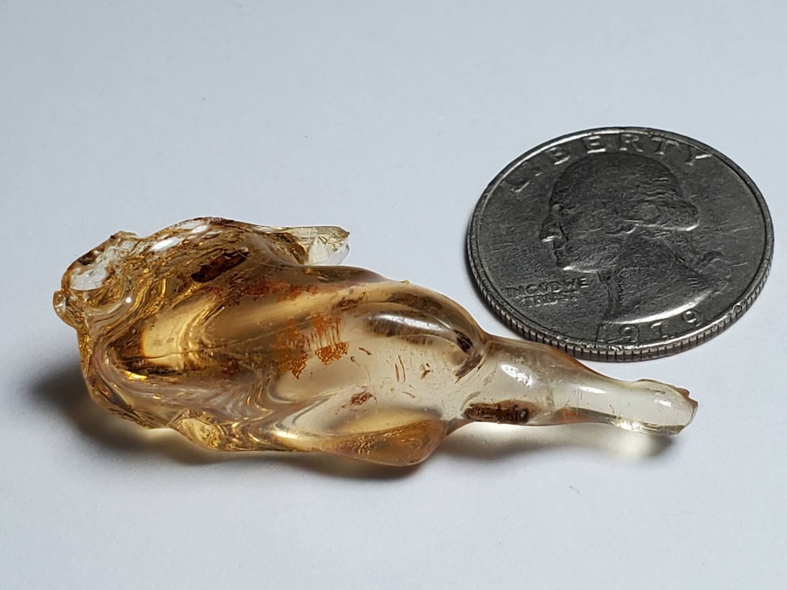 マダガスカル産 虫入りコパル / copal (Young Amber)