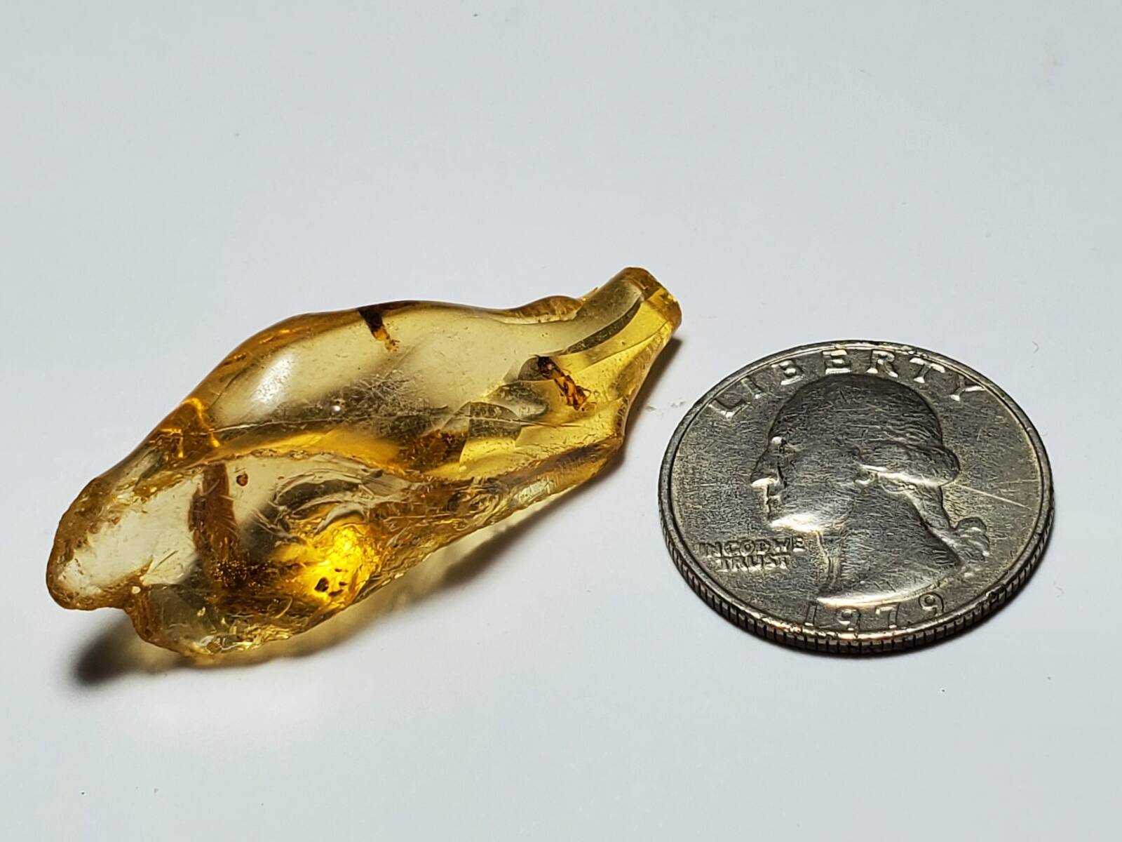 マダガスカル産 虫入りコパル / copal (Young Amber)