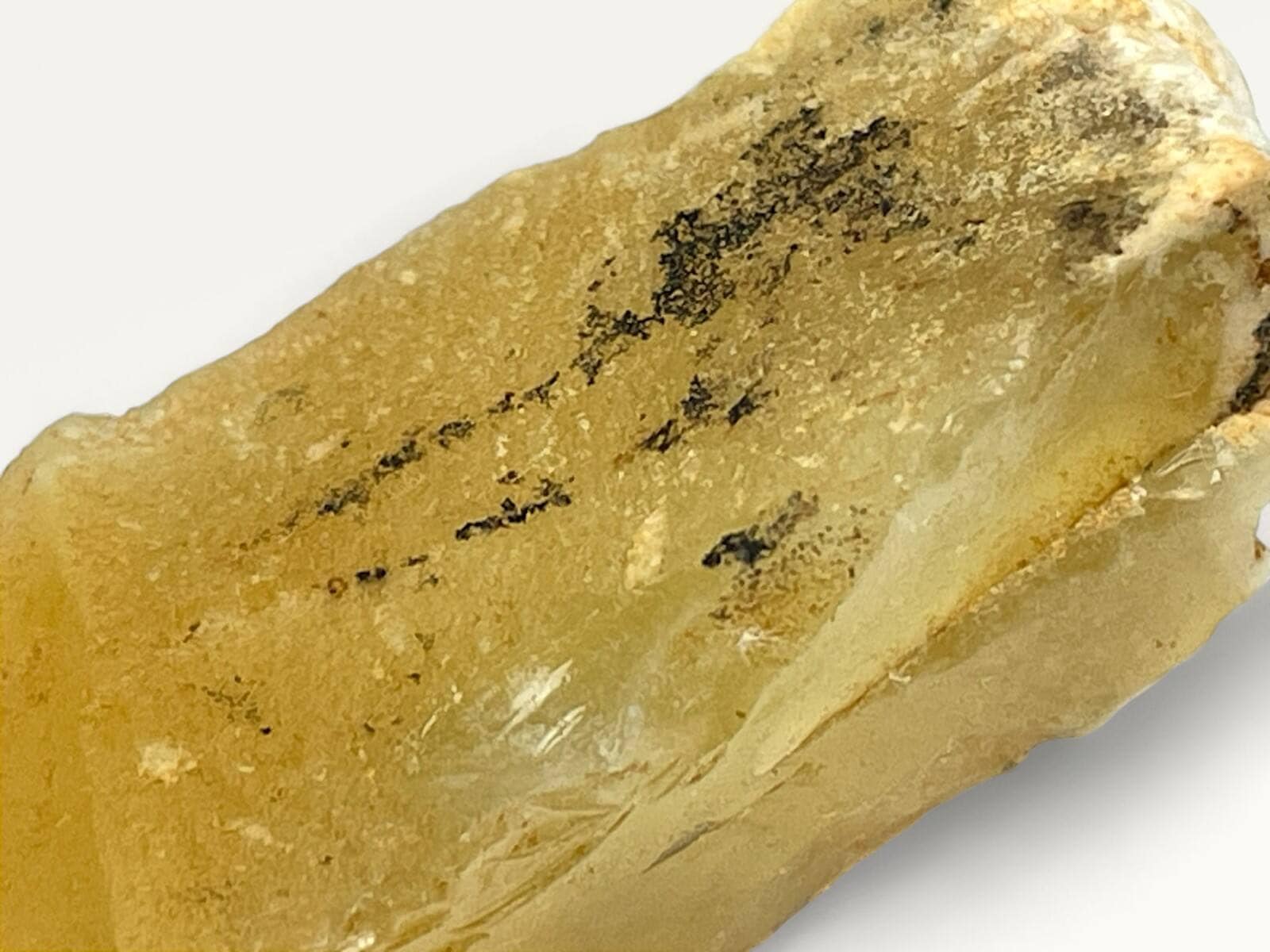 タンザニア産 イエローオパール (デンドリチック有り)