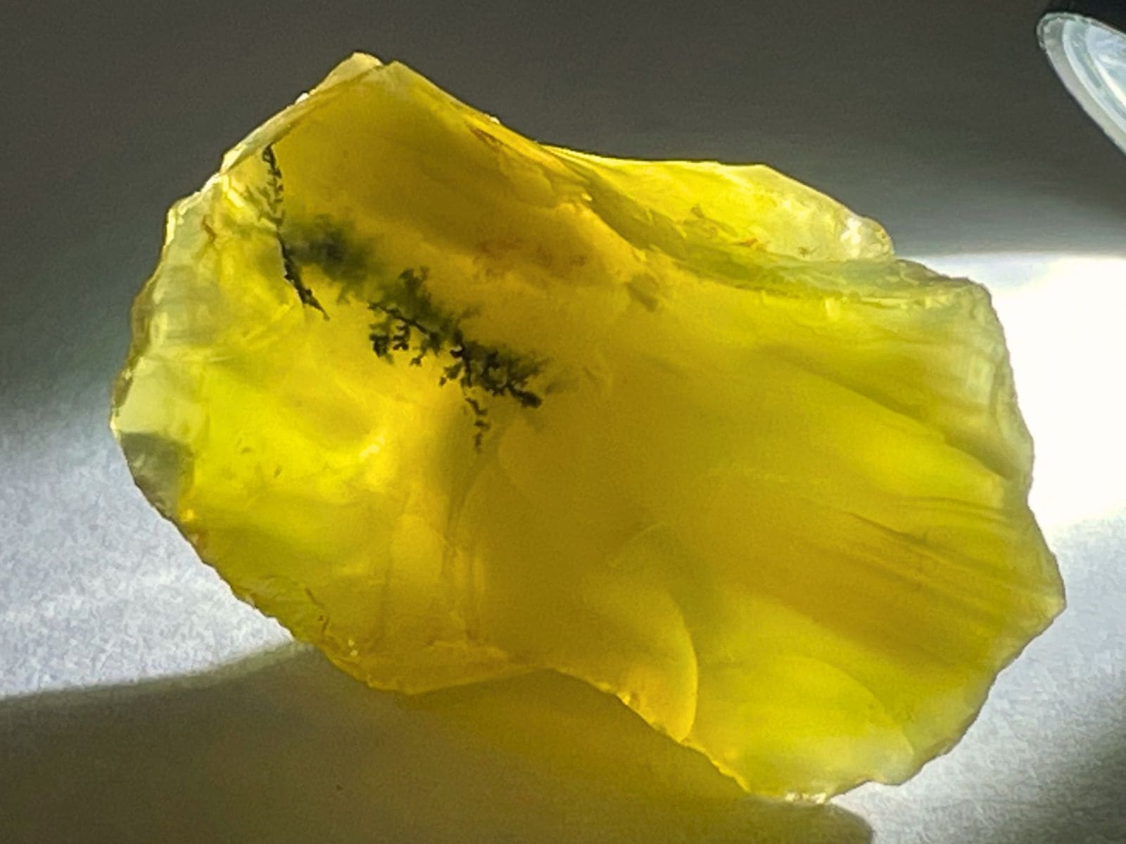 タンザニア産 イエローオパール (デンドリチック有り)