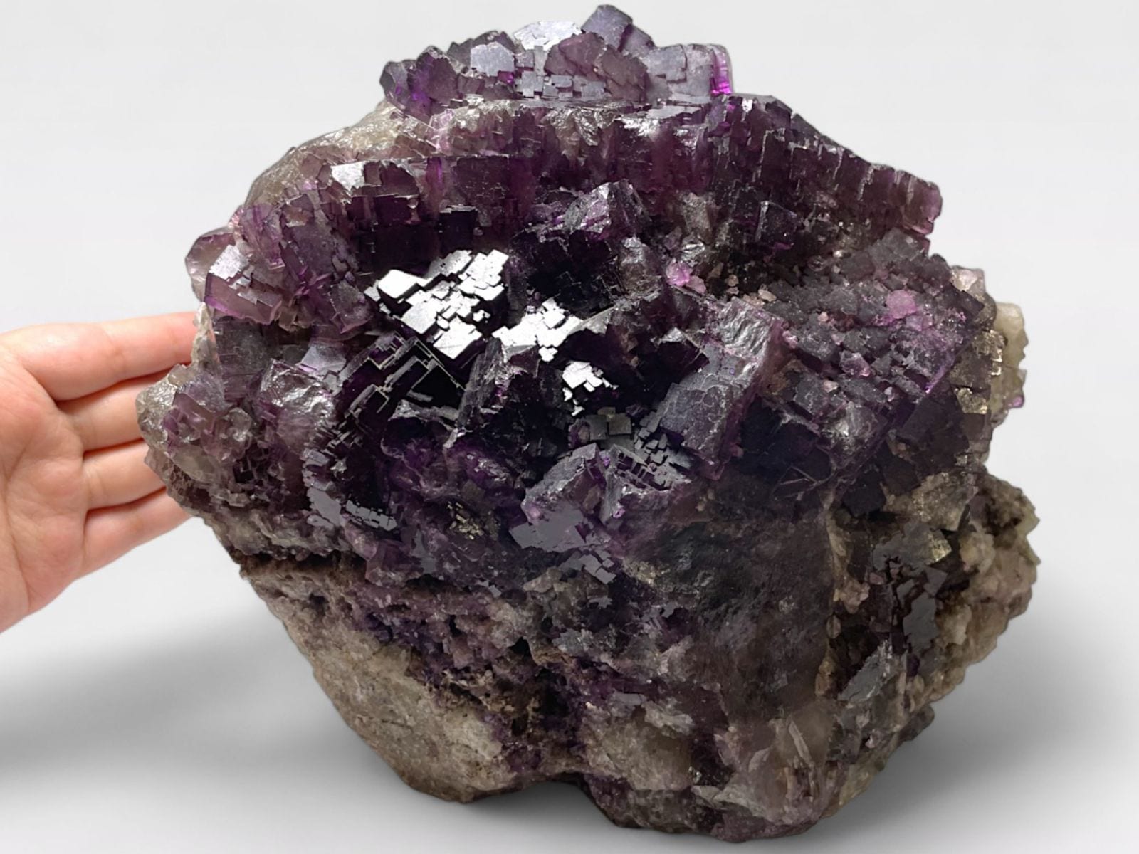 メキシコ産 大型 パープル フローライト / Fluorite