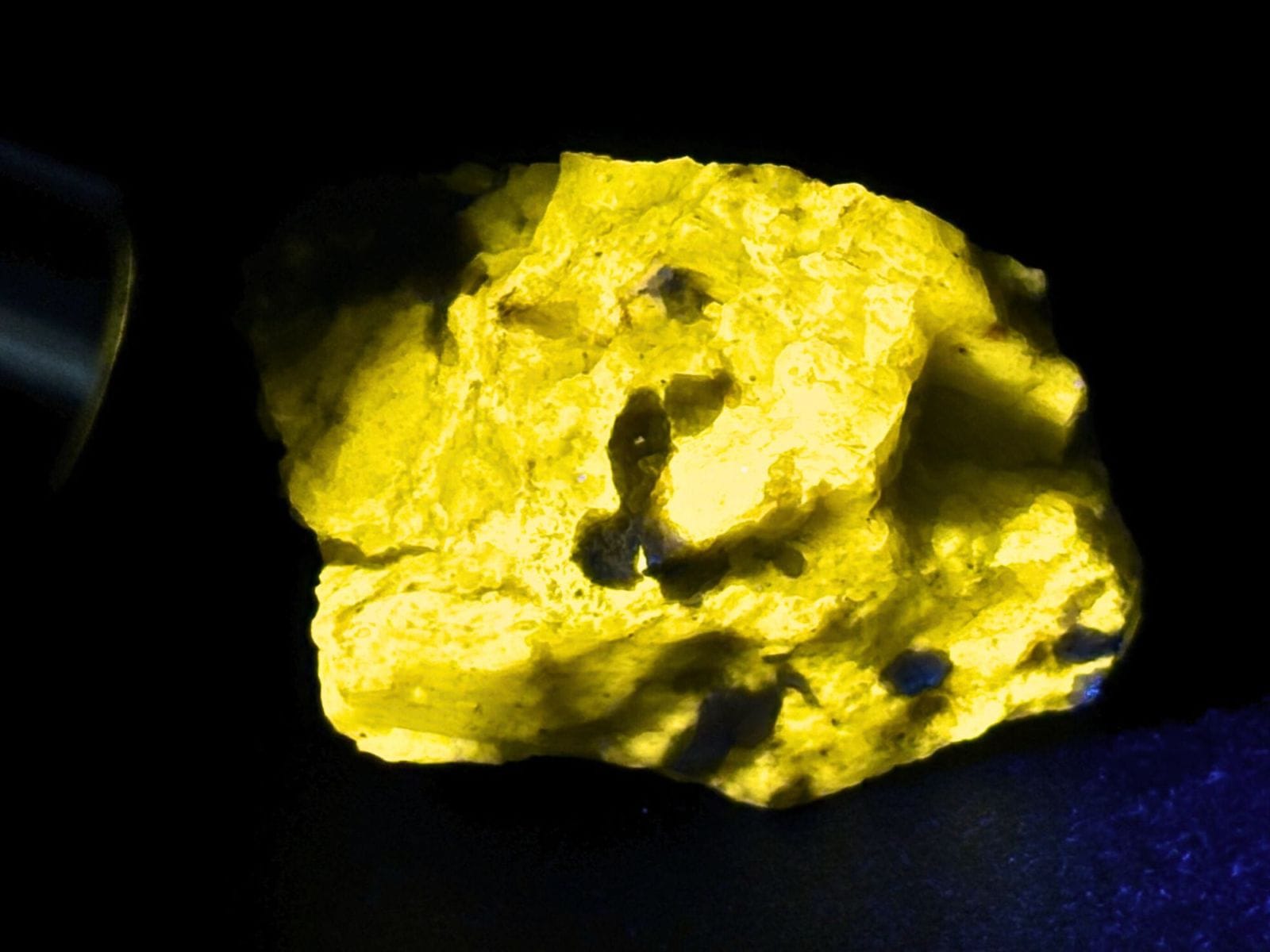 カナダ産 ウェルネライト ラフ