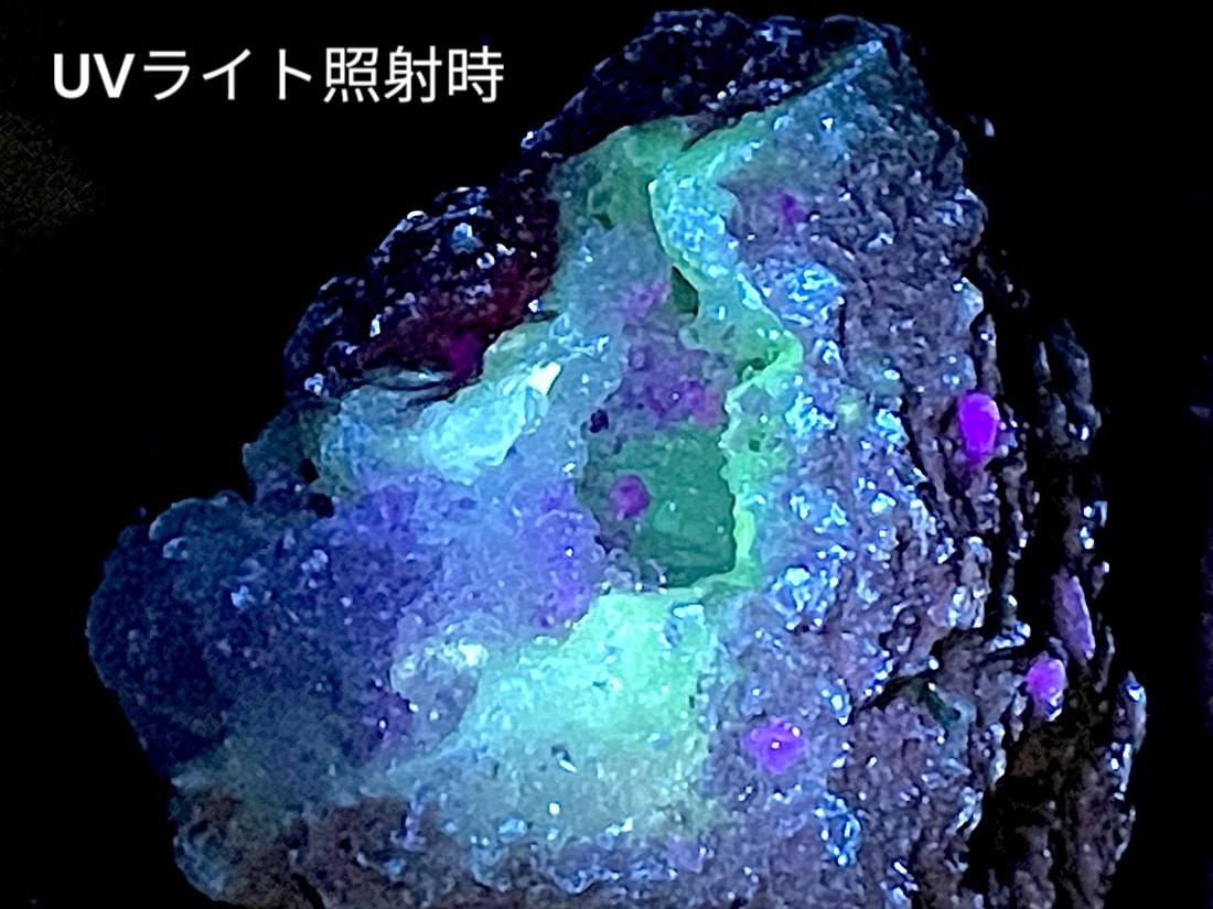 メキシコ産 スピリットフラワージオード (蛍光)