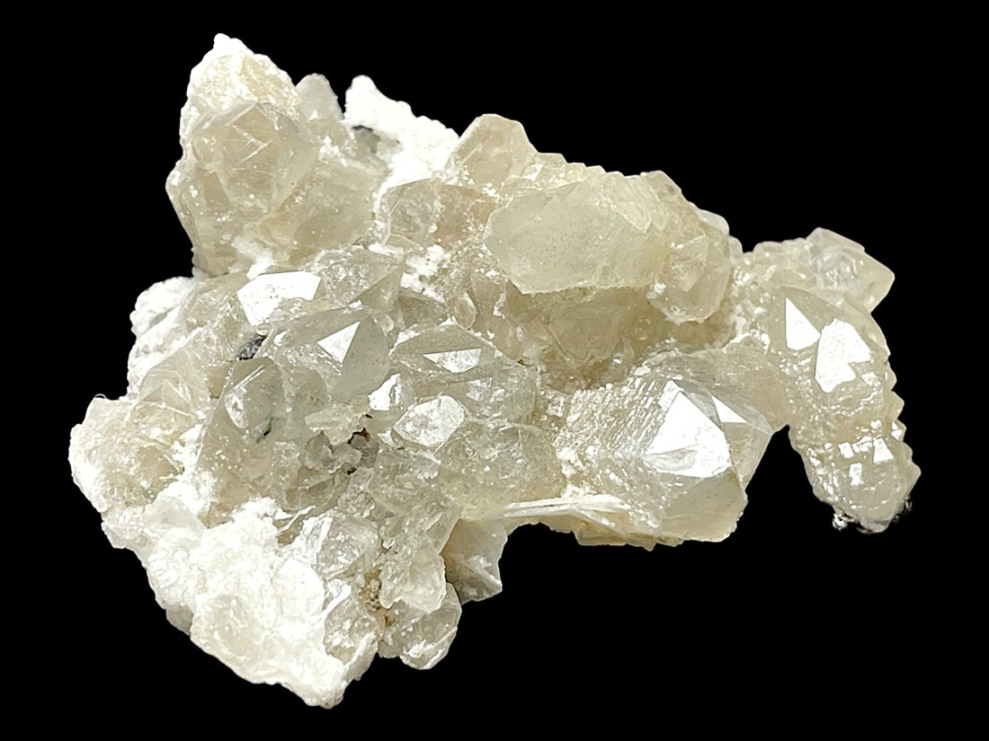 カルサイト共生