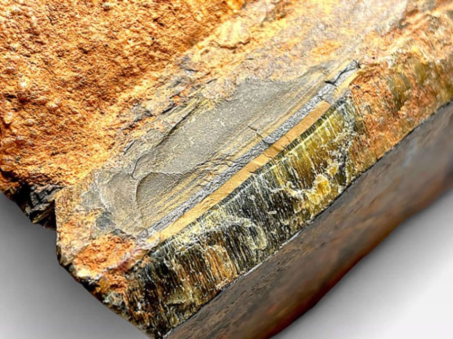 南アフリカ産 タイガーアイ (虎目石)/Tiger's eye