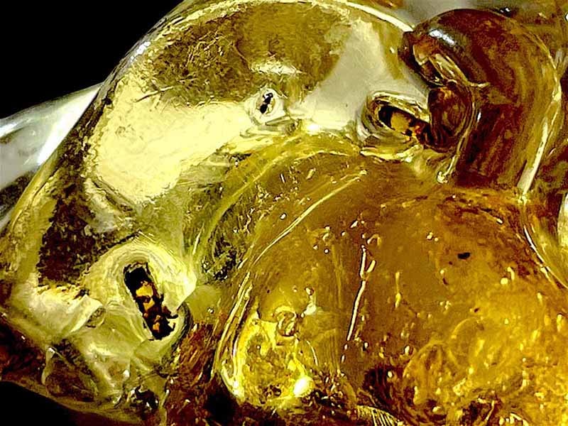 マダガスカル産 虫入りコパル