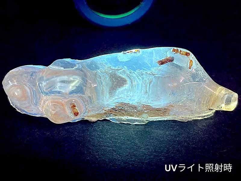 マダガスカル産 虫入りコパル