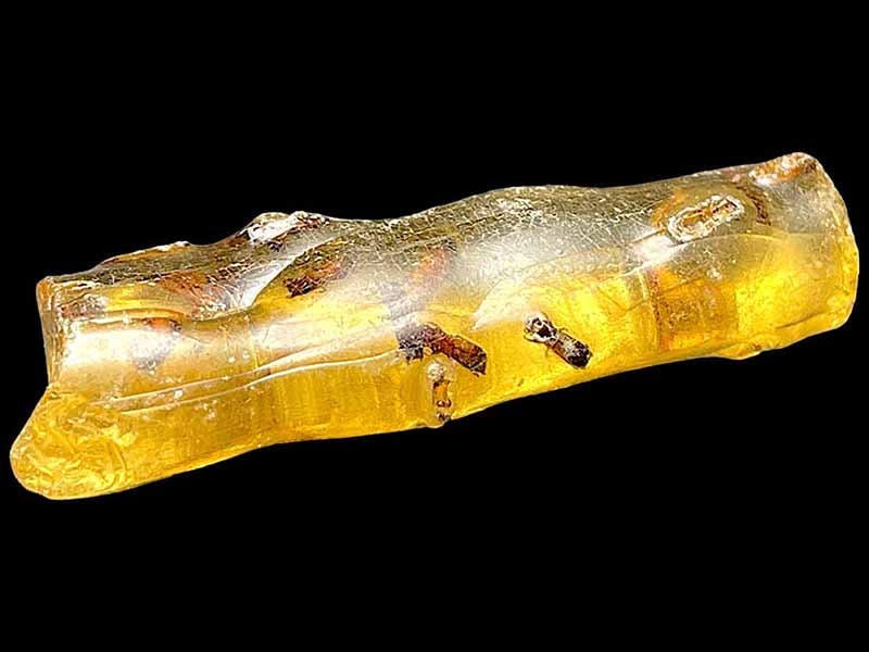 マダガスカル産 虫入りコパル