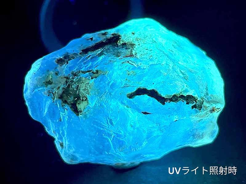 マダガスカル産 虫入りコパル