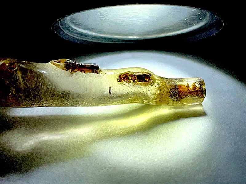 マダガスカル産 虫入りコパル