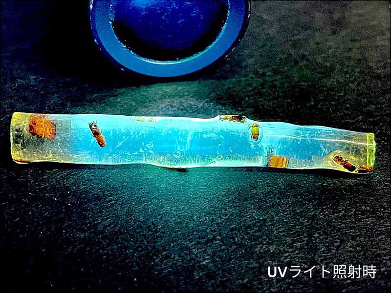 マダガスカル産 虫入りコパル