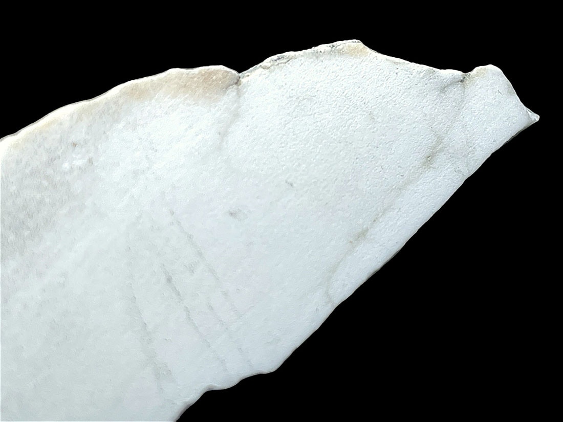 カリフォルニア州産ハウライト/Howlite (ハウ石)
