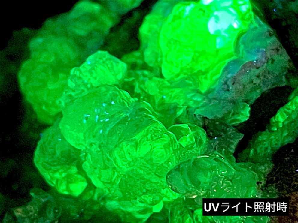 メキシコ　ホーム メキシコ産ハイアライト(玉滴石)/Hyalite