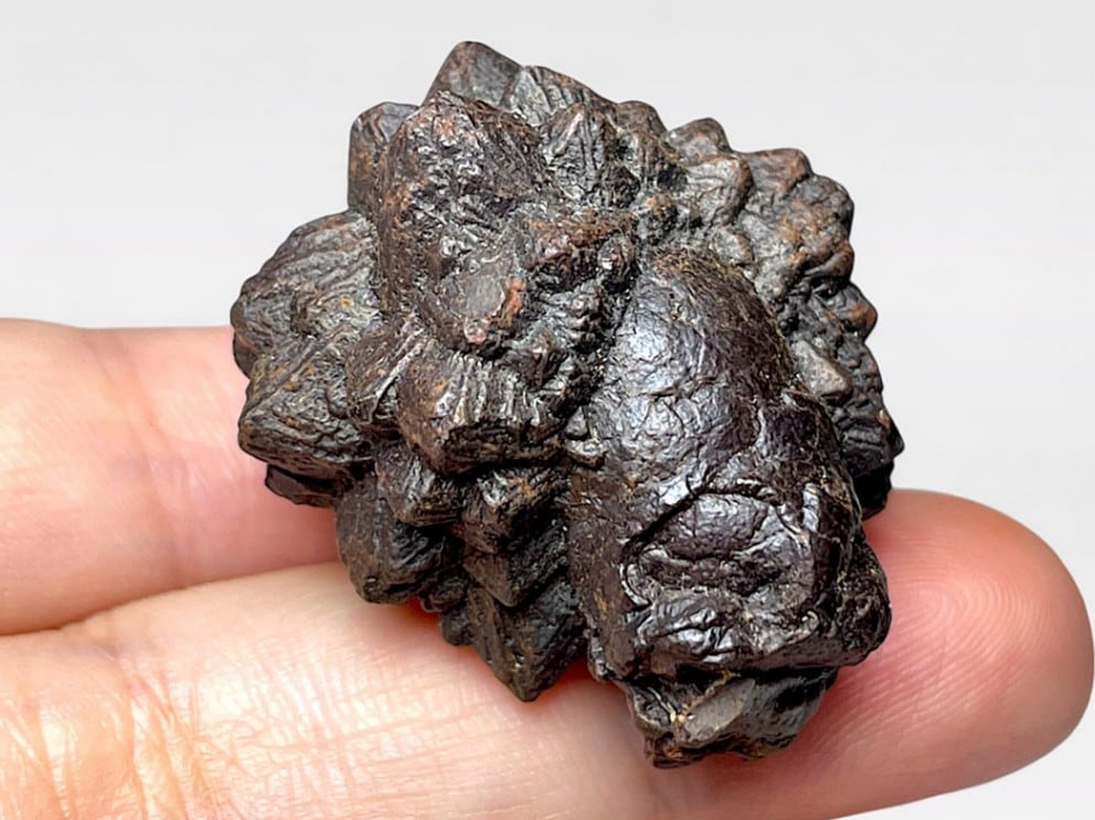 エジプトの星 ゼットストーン (プロフェシーストーン) / Prophecy Stone 