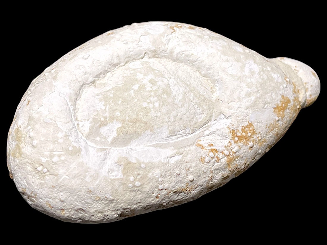 モロッコ産 メニライト (フェアリーオパール)