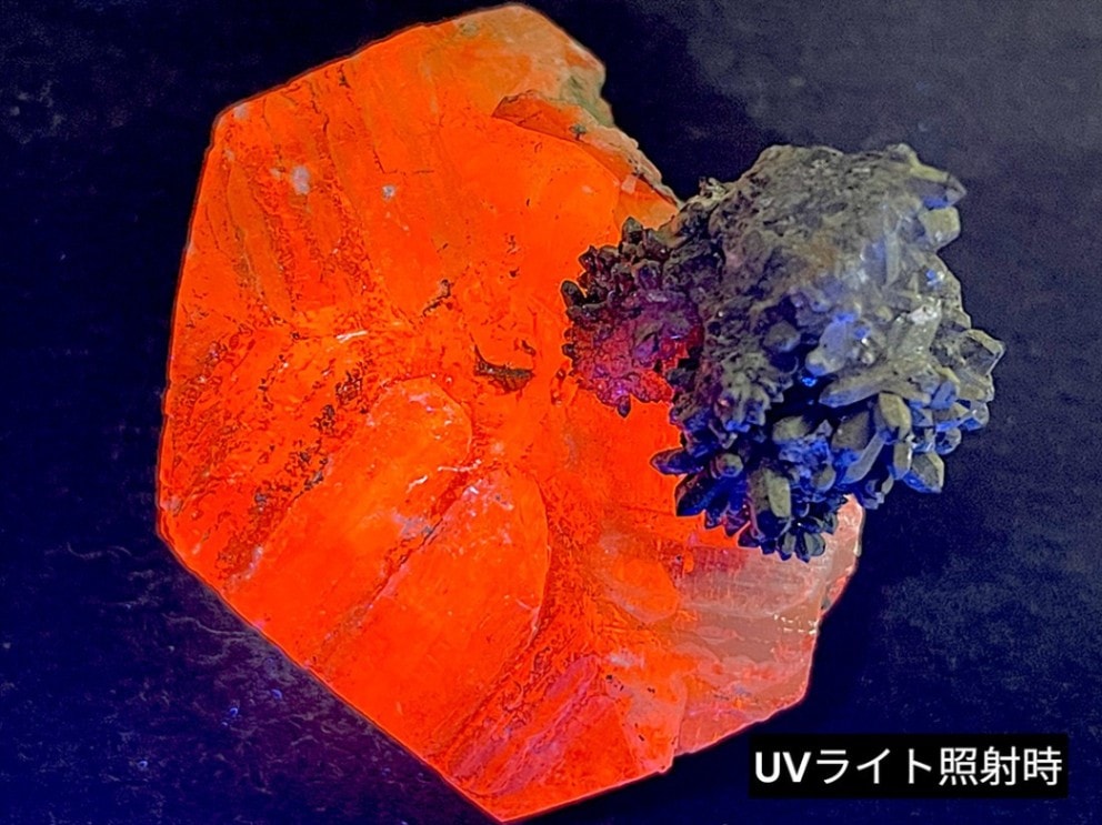 岐阜県吉城郡神岡鉱山産 方解石＆煙水晶 / SmokyQuartz＆Calcite