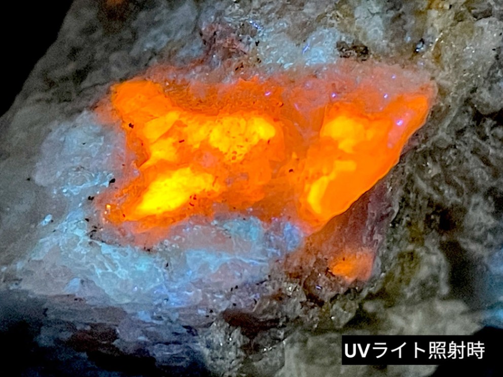 ★ハックマナイトとムーンストーンの共生 ハックマナイト(宝石名ハックマナイト) アフガニスタン産 0.547