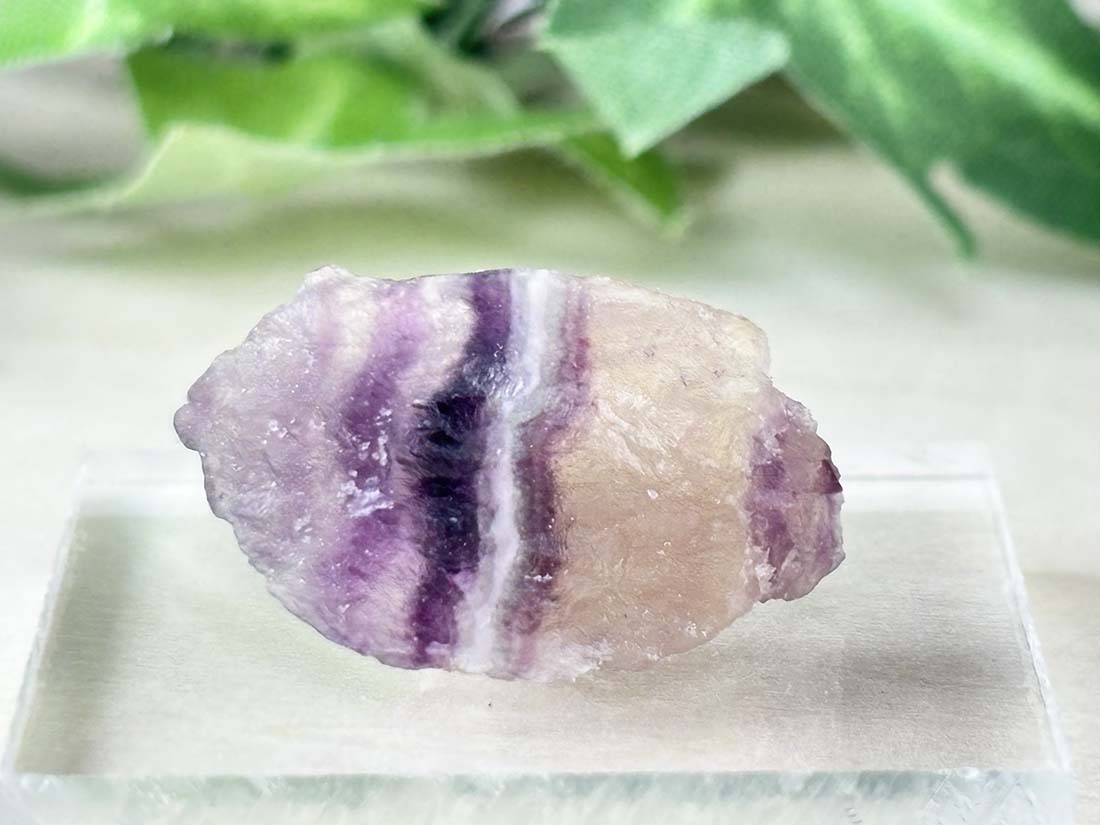 蛍光) アルゼンチン産 フローライト / fluorite ( 蛍石