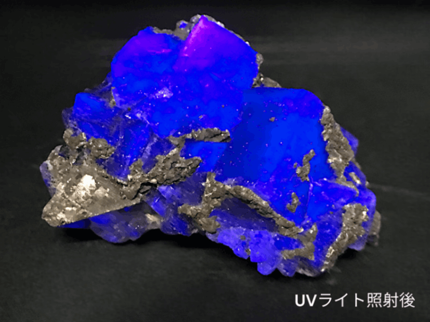 福建省産 フローライト (パイライト/マーカサイト共生) / Fluorite with Pyrite & Marcasite 【強蛍光】