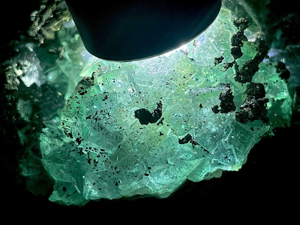 福建省産 フローライト (パイライト/マーカサイト共生) / Fluorite with Pyrite & Marcasite 【強蛍光】